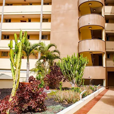 Lägenhet Two Bedroom In Playa Paraiso Costa Adeje (Tenerife)